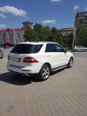 Mercedes M